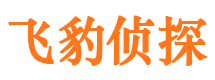 田东市婚外情调查